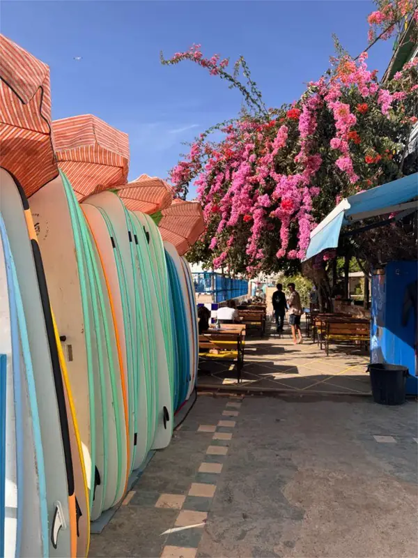 Tavole da surf colorate appoggiate a un muro sotto una bouganville