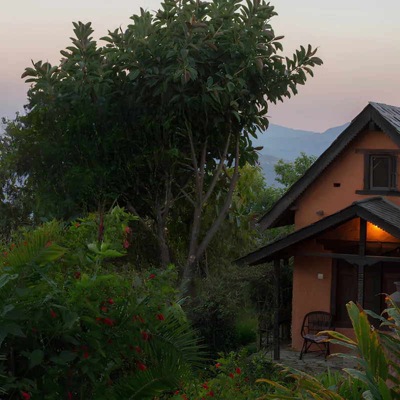 Una casa di legno immersa nel verde all'alba